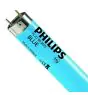 Philips MASTER TL-D 36W - Blau | 120cm