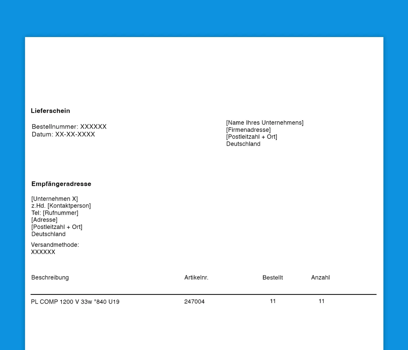Lieferschein Beispiel 